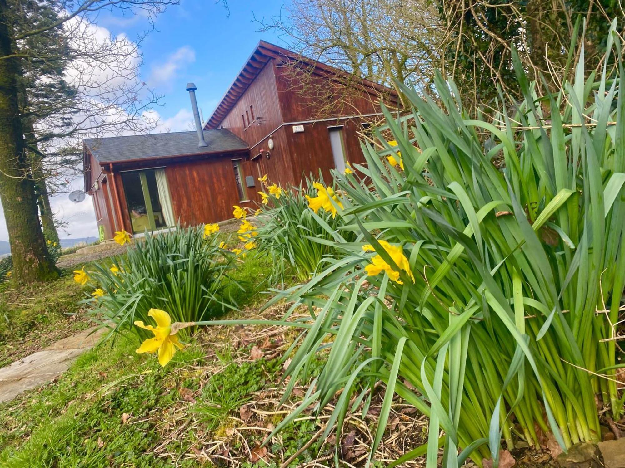 Ballyhoura Mountain Lodges Ballyorgan エクステリア 写真