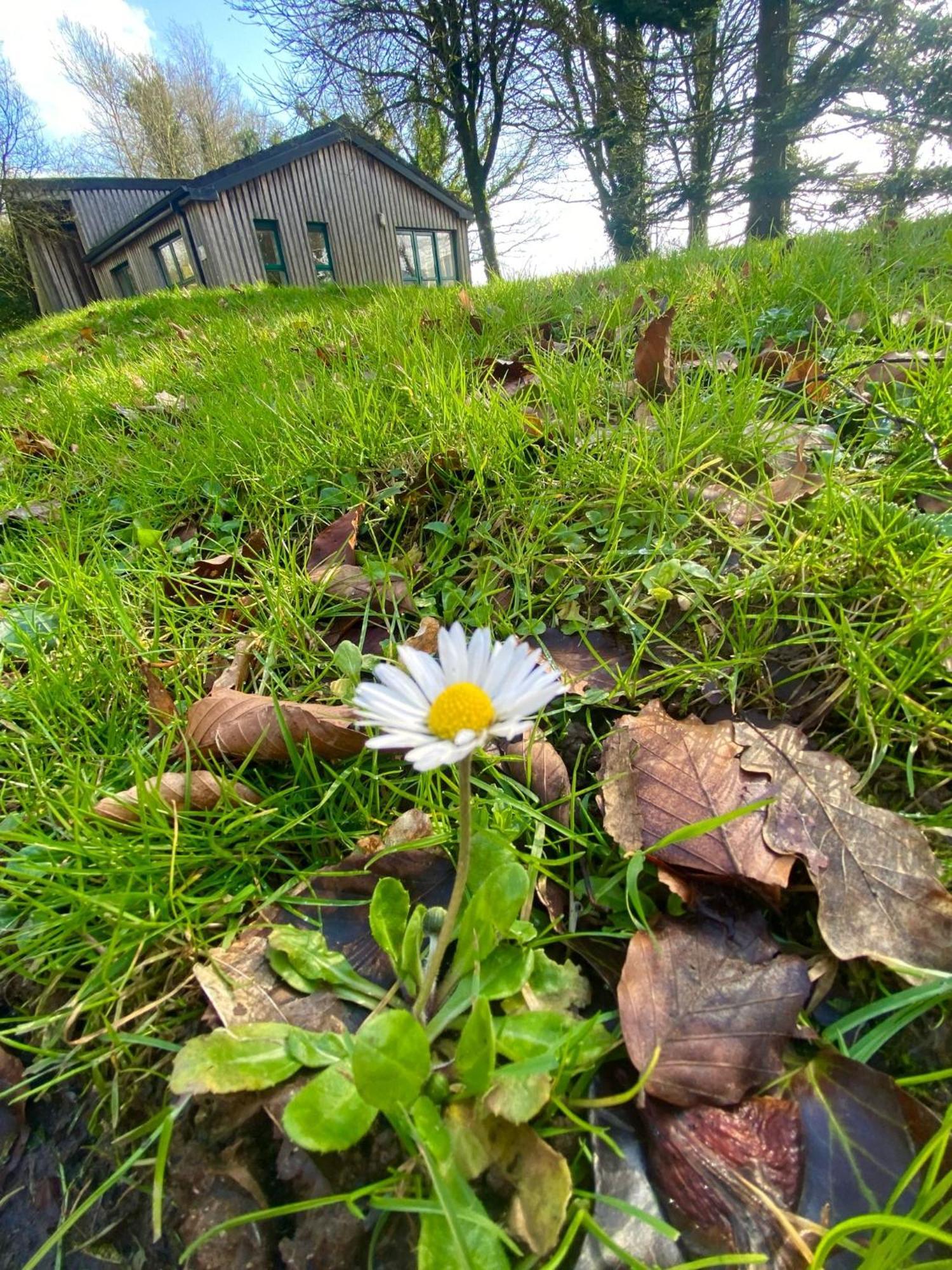 Ballyhoura Mountain Lodges Ballyorgan エクステリア 写真