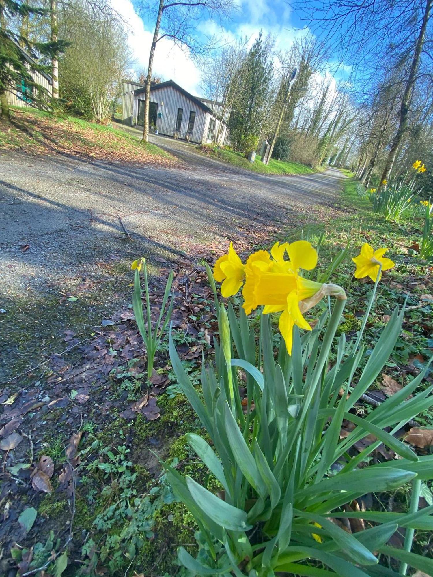 Ballyhoura Mountain Lodges Ballyorgan エクステリア 写真