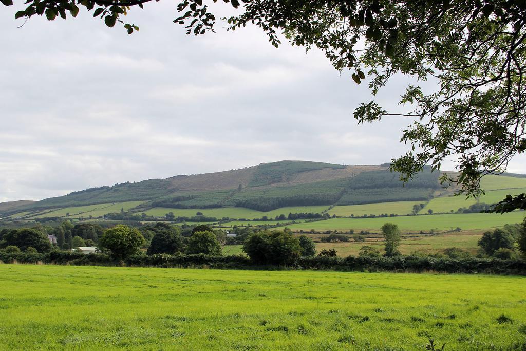 Ballyhoura Mountain Lodges Ballyorgan 部屋 写真